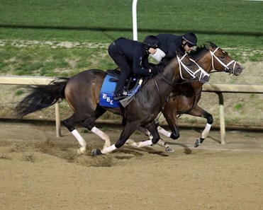 Victory Formation - Horse Profile - BloodHorse