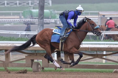 Meet the Contenders: Kentucky Jockey Club