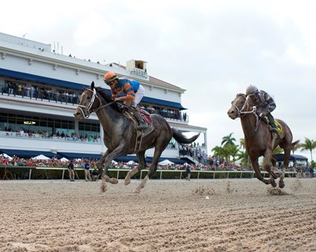 Forte wins the Florida Derby at Gulfstream Park