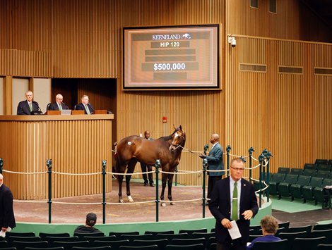 Commissioner Dan Goes for 0K to Top Keeneland Sale
