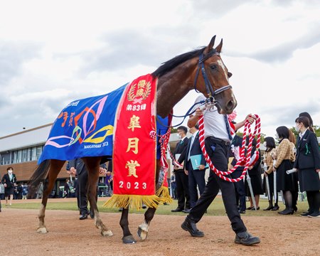 Sol Oriens after winning the Satsuki Sho at Nakayama Racecourse 