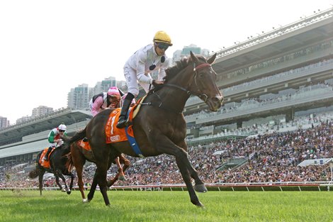Hong Kong Horses All-Conquering on Champions Day - BloodHorse