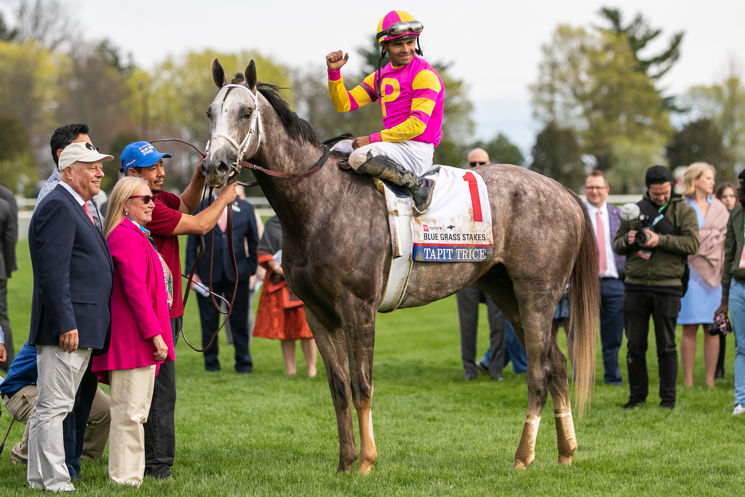 Tapit Trice - Horse Profile - BloodHorse