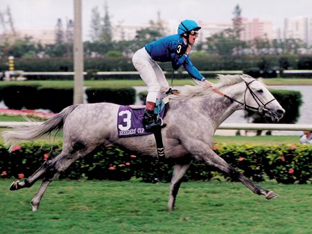 Daylami wins the 1999 Breeders' Cup Turf at Gulfstream Park