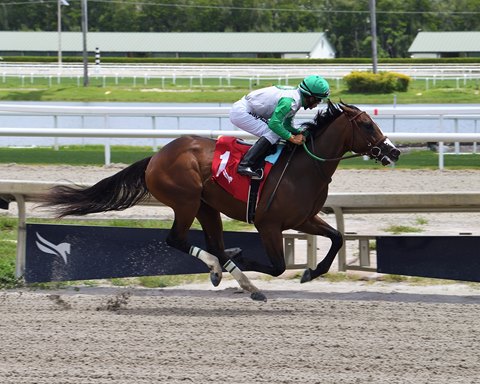 3 horses in Kentucky Derby trained in Palm Beach County