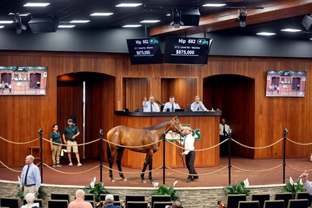 The Uncle Mo colt consigned as Hip 682 in the ring at the OBS Spring Sale