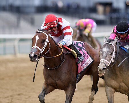 Lord Miles wins the Wood Memorial Stakes at Aqueduct Racetrack