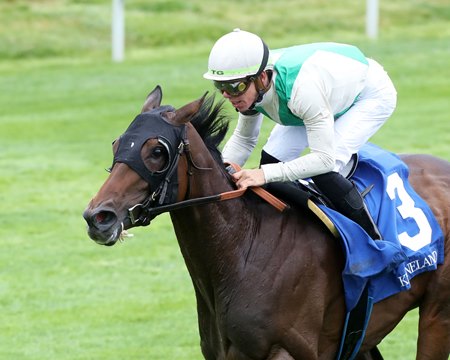 Viareggio wins her domestic debut in an allowance at Keeneland