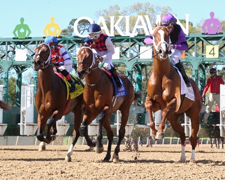 Racing at Oaklawn Park