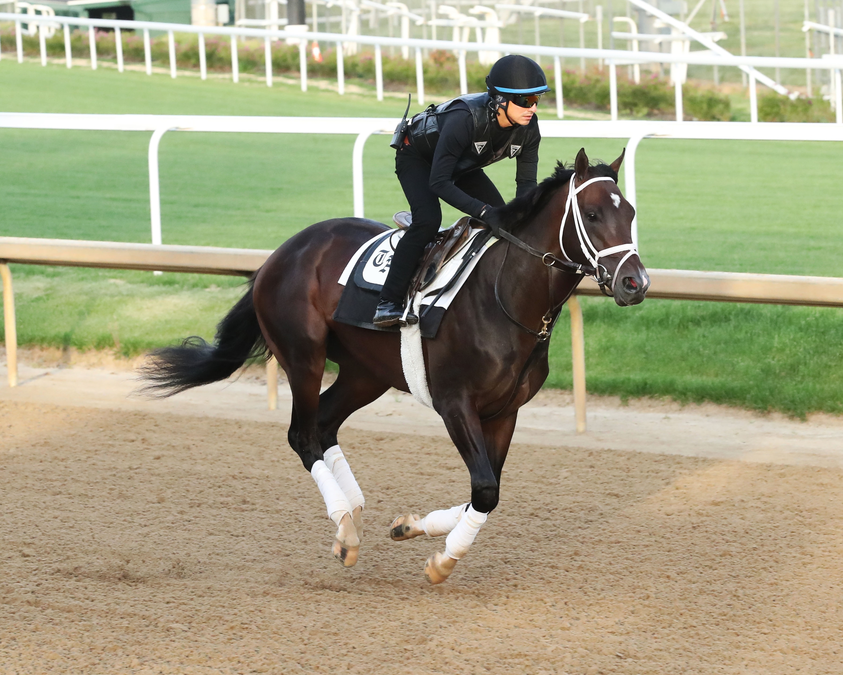 Capsule Looks At Contenders For The 2023 Kentucky Derby - BloodHorse