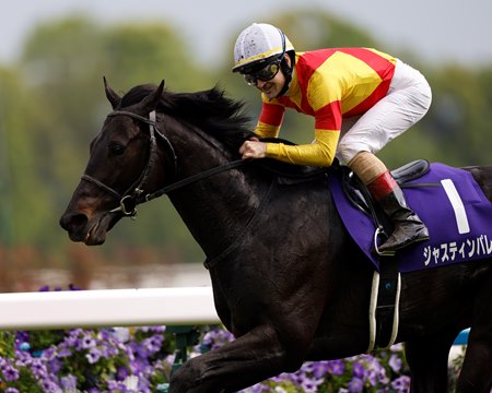 Justin Palace wins the Tenno Sho (Spring) at Kyoto Racecourse