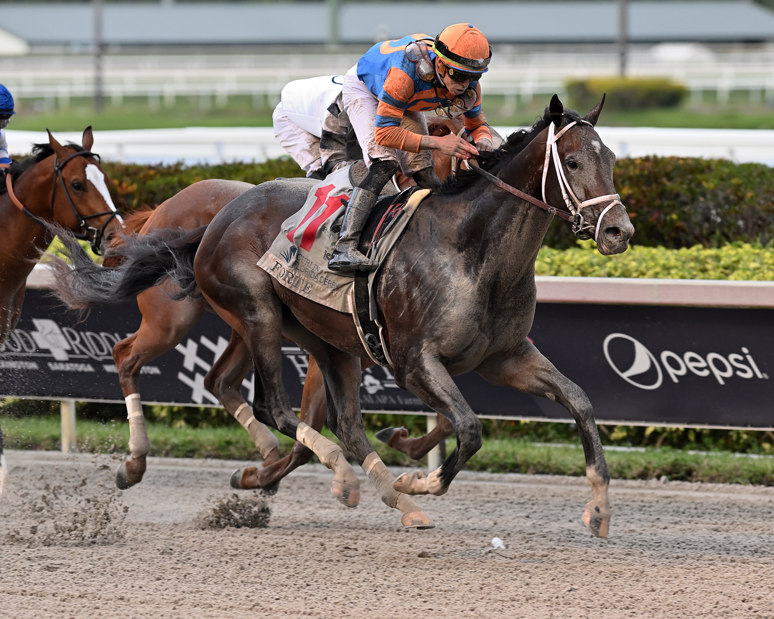 Forte Runs Down Mage in Florida Derby Thriller - BloodHorse