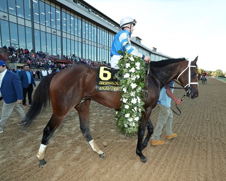 Angel of Empire after winning the 2023 Arkansas Derby at Oaklawn Park