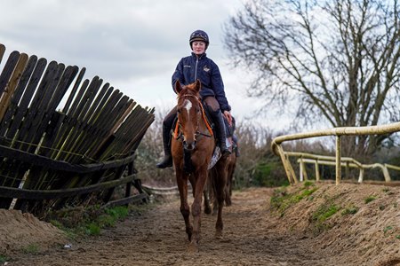 Cape Gentleman after working at Shark Hanlon's yard