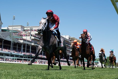 Caravel to Stay Stateside, Pointed to Jaipur Stakes - Vimarsana News