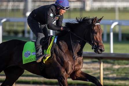 Confidence Game - Horse Profile - BloodHorse