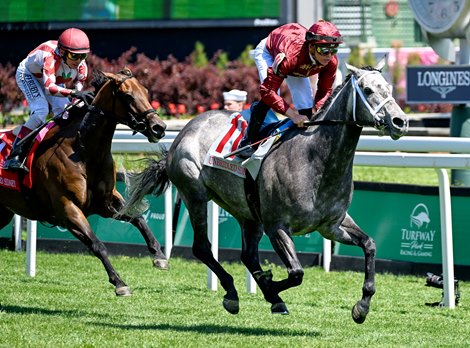 Caravel Royal Ascot Bound After Unbridled Sidney Score - BloodHorse