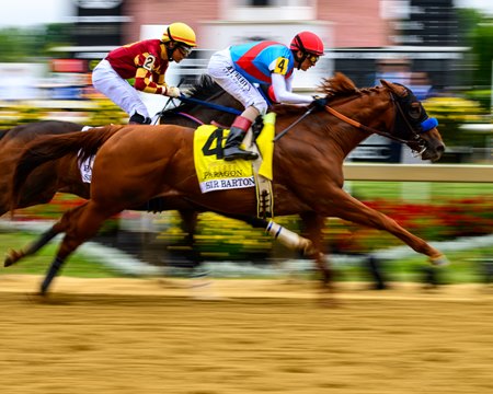 Arabian Lion wins the Sir Barton Stakes at Pimlico Race Course