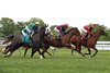 Opening Day at Monmouth Park Racetrack in Oceanport, NJ on Saturday May 13, 2023.  Photo By Bill Denver/EQUI-PHOTO