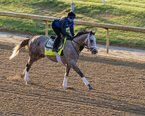 Tapit Trice Could Become Tapit's Fifth Belmont Winner - BloodHorse