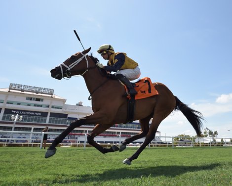 Weaver Readying Juveniles for Royal Ascot Tests - Vimarsana News