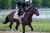 Blazing Sevens
Horses training at Pimlico Racecourse in Baltimore, Md., on May 17, 2023. 



