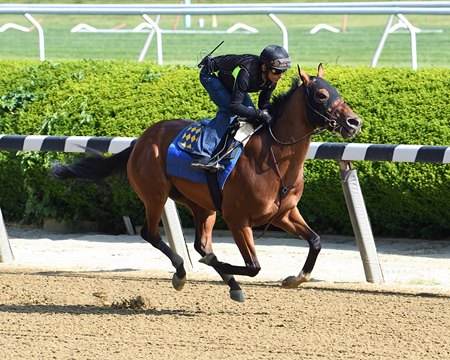National Treasure breezes May 30 at Belmont Park