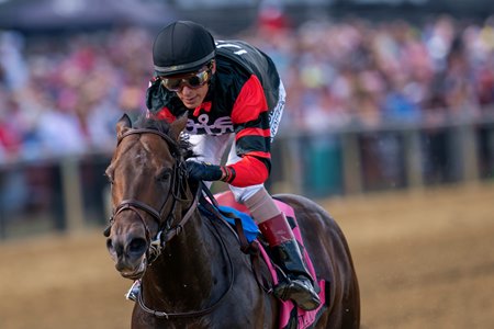 Straight No Chaser wins the Maryland Sprint at Pimlico Race Course