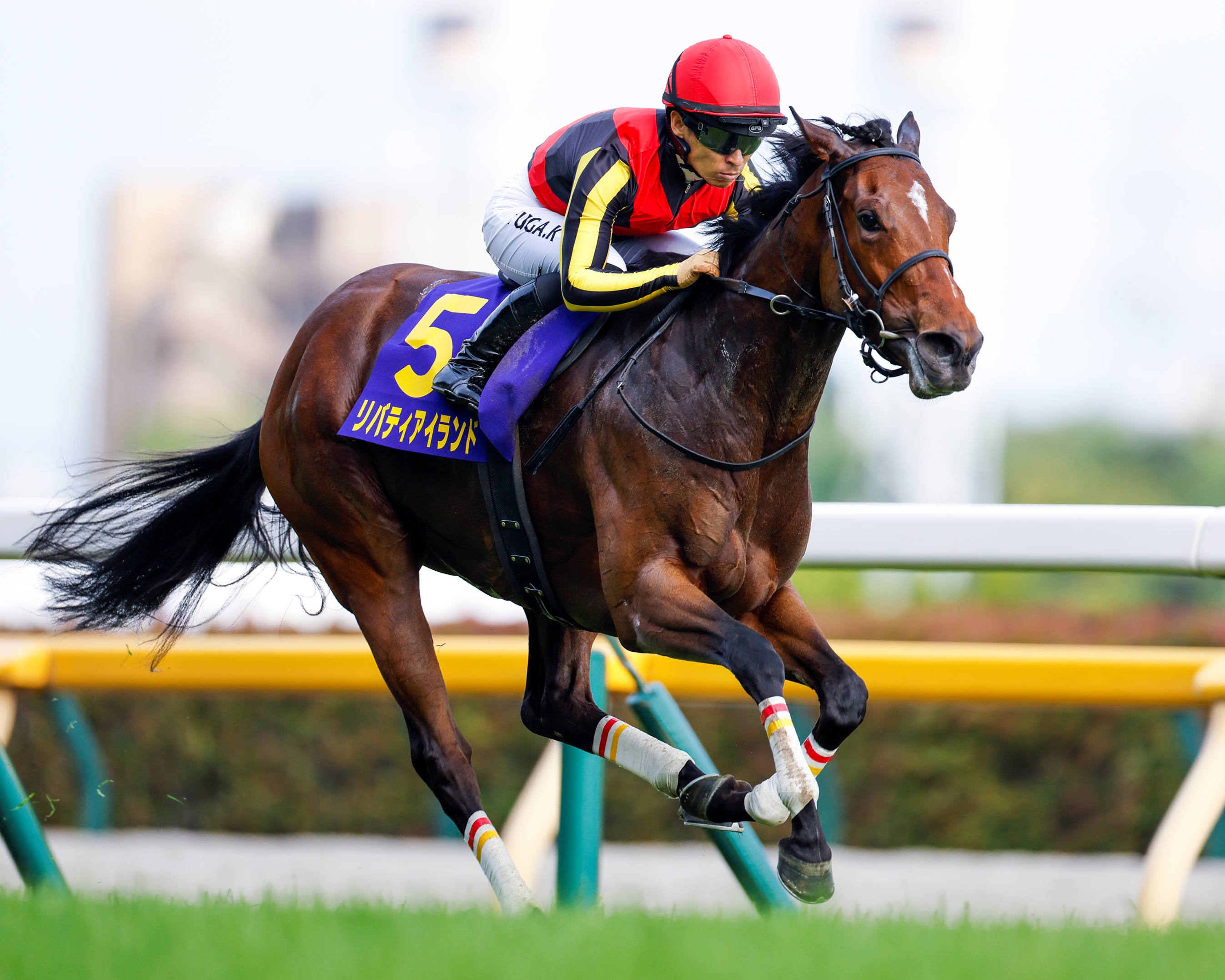 リバティアイランド Liberty Island Scores Dominating Win in Japanese Oaks - TrueNicks.com