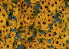 Scene - Preakness - PIM - 052023