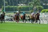 CRK Stable's Exaulted and jockey Juan Hernandez take off for home and go on to win the Grade I $500,000 Shoemaker Mile Monday, May 29, 2023 at Santa Anita Park, Arcadia, CA.
Benoit Photo