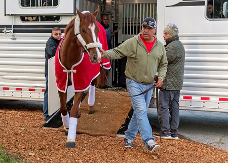 Mage arriving at Pimlico Race Course