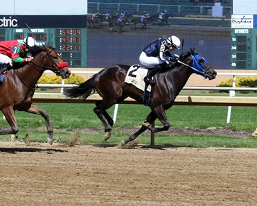 Looking Good Lewis - Horse Profile - BloodHorse