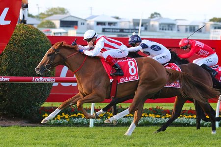 Giga Kick wins the Doomben 10,000 at Doomben Racecourse