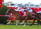 Giga Kick wins the 2023 Doomben 10,000 at Doomben Racecourse
ridden by Craig Williams and Trained by Clayton Douglas
