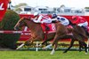 Giga Kick wins the 2023 Doomben 10,000 at Doomben Racecourse
ridden by Craig Williams and Trained by Clayton Douglas