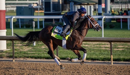 Kingsbarns - Horse Profile - BloodHorse