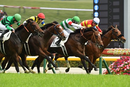 Tastiera (green jockey cap) wins the Tokyo Yushun at Tokyo Racecourse