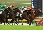 2023 Japanese Derby won by Tastiera, ridden by Damian Lne, trained by Noriyuki Hori, and owned by Carrot Farm Co., Ltd. The second horse from right is Tastiera in green cap. Photos by Katsumi Saito