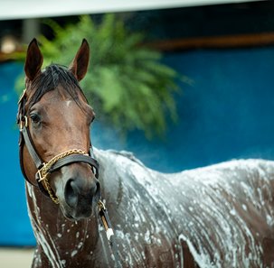 Angel of Empire gets a bath