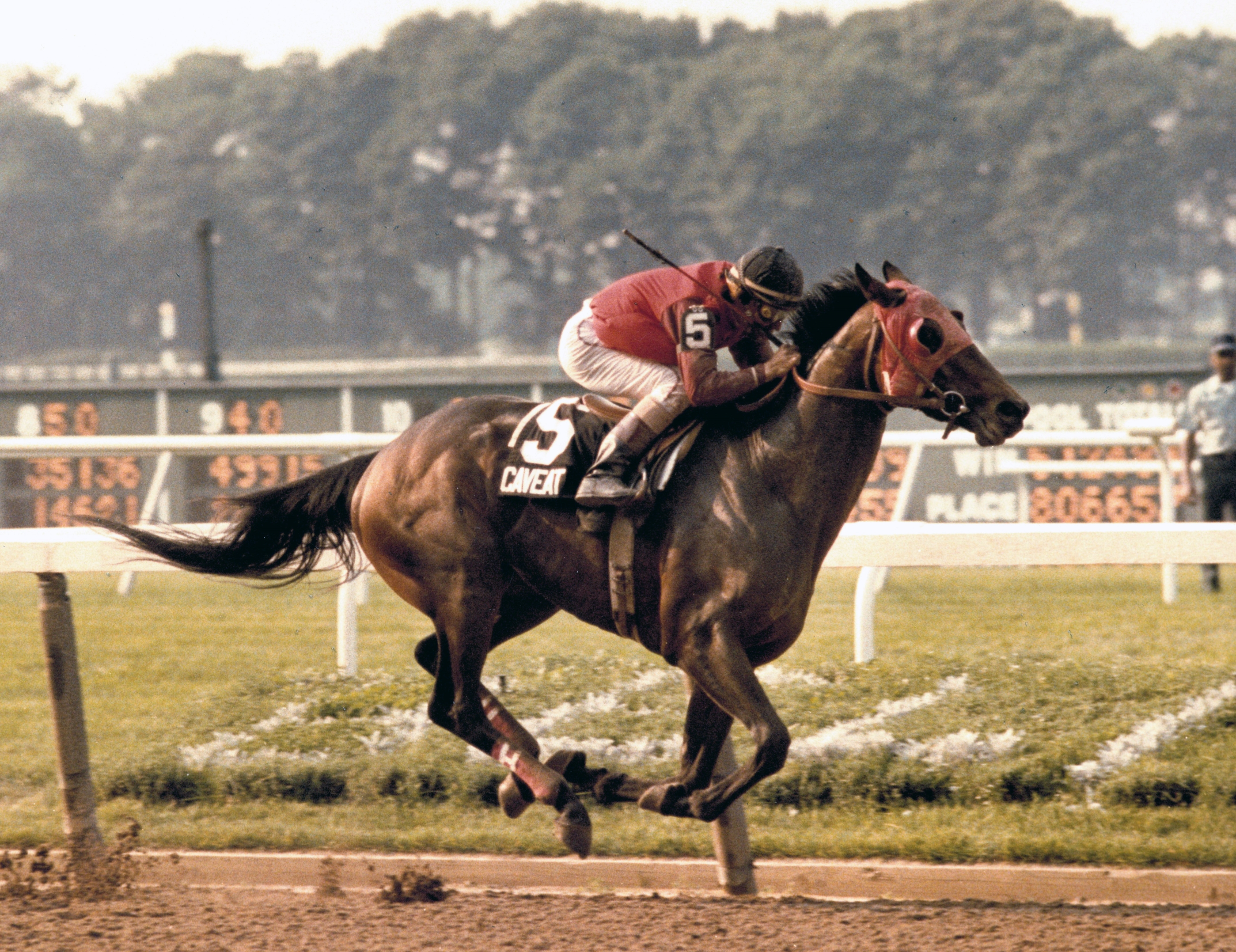 Two New Inductees to Maryland Thoroughbred Hall of Fame - BloodHorse