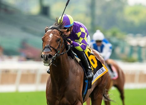 Exaulted Reigns Supreme in Shoemaker Mile - Vimarsana News