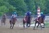National Treasure leads in the final turn, Preakness 148