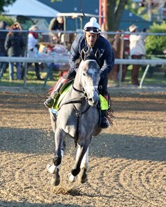 Country House Wins 2019 Kentucky Derby After Maximum Security