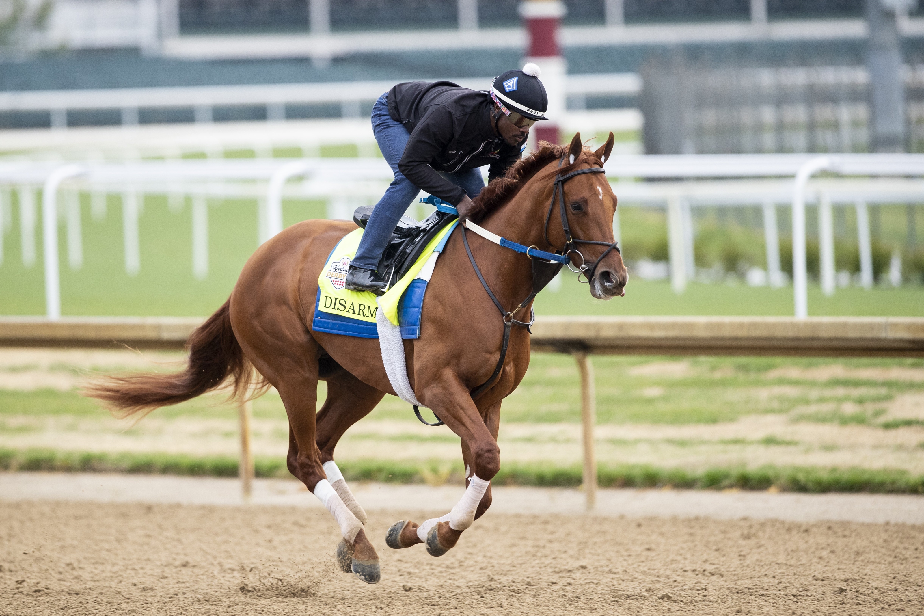 Equibase | Horse Racing | Horse Racing Entries | Horse Racing Results | Past Performances | Mobile | Statistics equibase-horse-racing-horse-racing-entries-horse-racing-results-past-performances-mobile-statistics