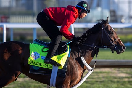 Raise Cain - Horse Profile - BloodHorse