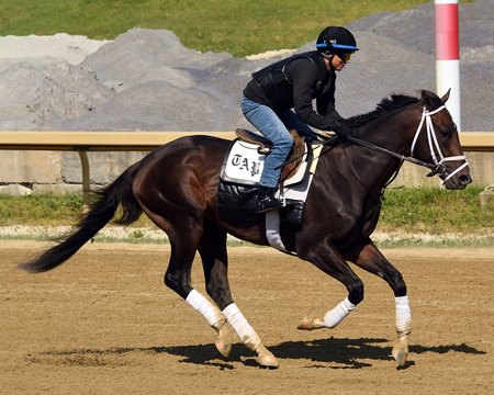 Forte training May 18 at Belmont Park