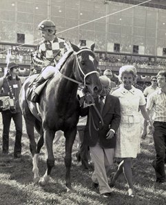 Secretariat after his victory in the 1973 Preakness Stakes at Pimlico Race Course