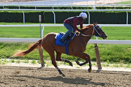 Red Route One works May 29 at Belmont Park