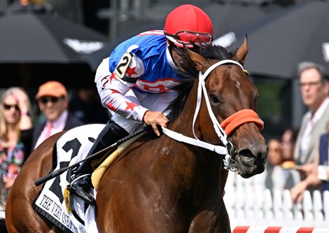 Coach to Artemus a Truly feel-Good Horse for Mending Breen Coach to Artemus a Truly feel-Good Horse for Mending Breen